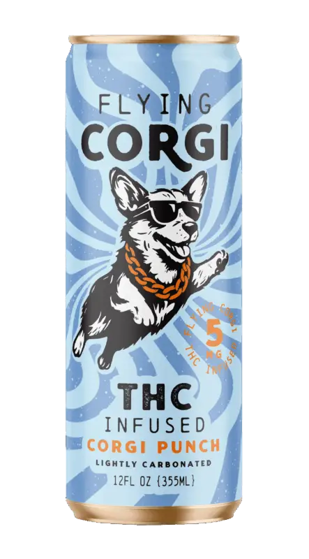 Flying Corgi Punch 5MG
